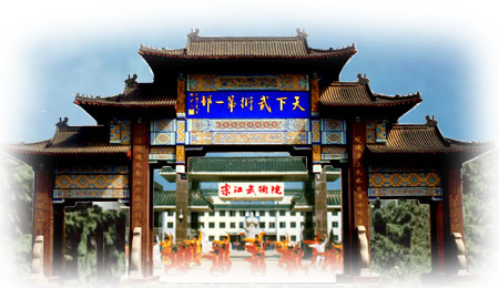 Wushu School
